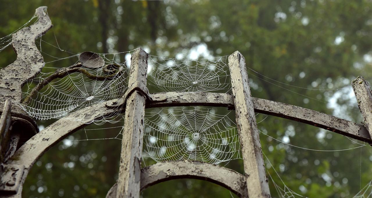 5 tradiciones en Halloween que te ayudarán a aprender inglés para principiantes