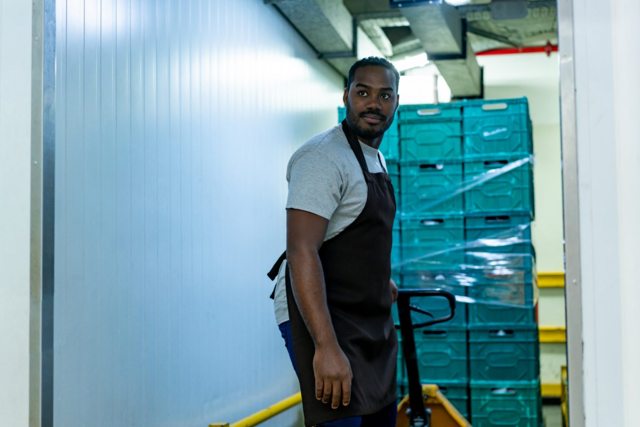 What is the Difference Between Commercial and Residential Freezers?